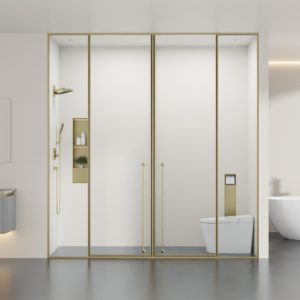 Stainless Steel Pivot Out-Swing Door