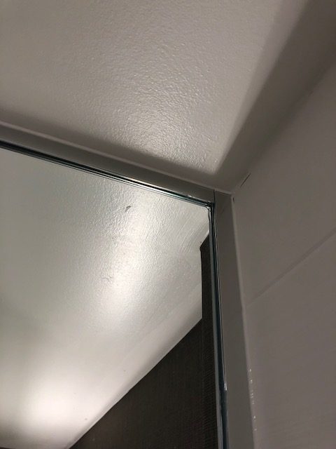 Frameless Swing Shower Door - Image 5