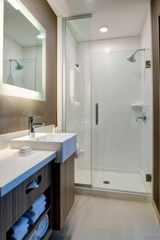 Frameless Swing Shower Door - view 3
